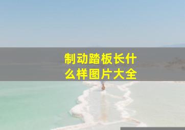 制动踏板长什么样图片大全