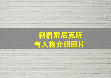 刺猬索尼克所有人物介绍图片