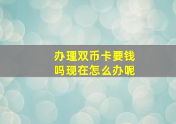 办理双币卡要钱吗现在怎么办呢