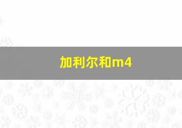 加利尔和m4