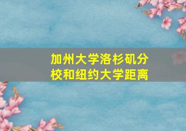 加州大学洛杉矶分校和纽约大学距离