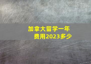 加拿大留学一年费用2023多少