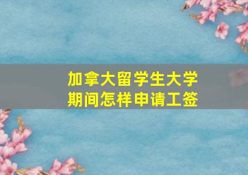 加拿大留学生大学期间怎样申请工签