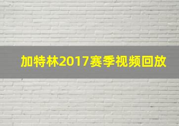 加特林2017赛季视频回放