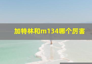 加特林和m134哪个厉害