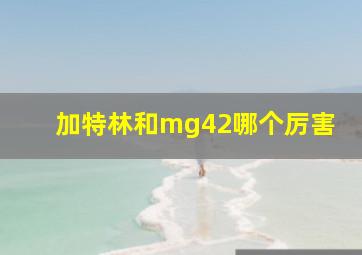 加特林和mg42哪个厉害