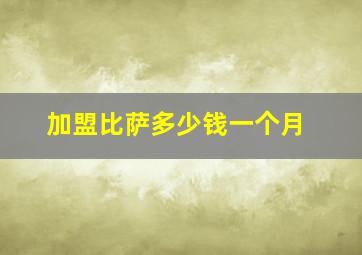 加盟比萨多少钱一个月