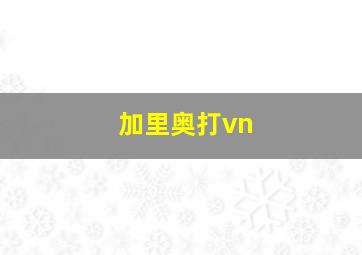 加里奥打vn