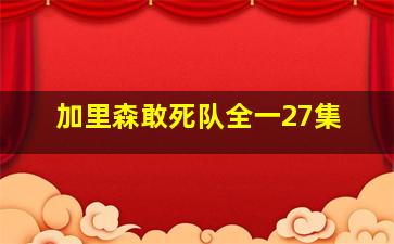 加里森敢死队全一27集