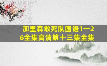 加里森敢死队国语1一26全集高清第十三集全集