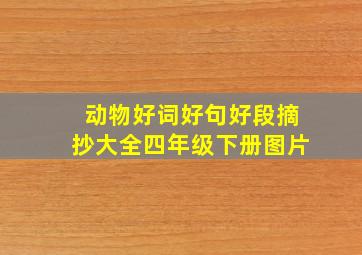 动物好词好句好段摘抄大全四年级下册图片