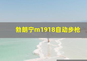 勃朗宁m1918自动步枪