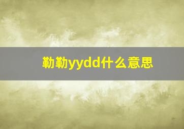 勒勒yydd什么意思