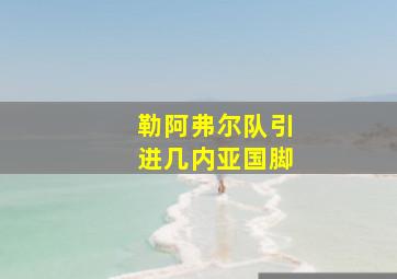 勒阿弗尔队引进几内亚国脚