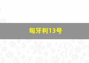 匈牙利13号