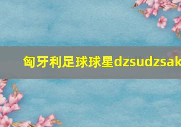 匈牙利足球球星dzsudzsak