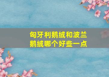 匈牙利鹅绒和波兰鹅绒哪个好些一点