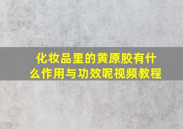 化妆品里的黄原胶有什么作用与功效呢视频教程