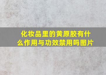 化妆品里的黄原胶有什么作用与功效禁用吗图片