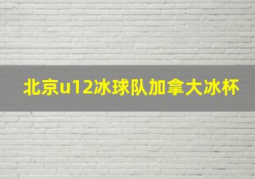 北京u12冰球队加拿大冰杯