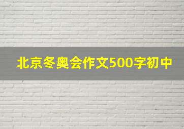 北京冬奥会作文500字初中