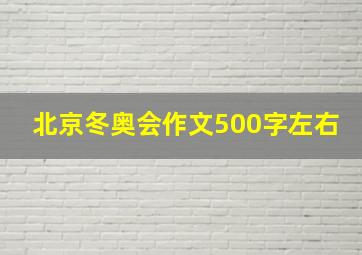 北京冬奥会作文500字左右