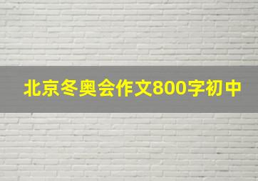 北京冬奥会作文800字初中