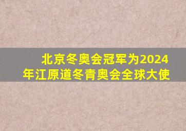 北京冬奥会冠军为2024年江原道冬青奥会全球大使