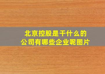 北京控股是干什么的公司有哪些企业呢图片