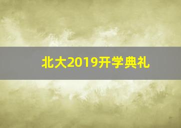 北大2019开学典礼