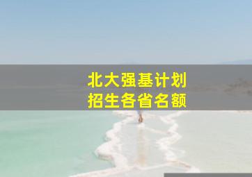 北大强基计划招生各省名额