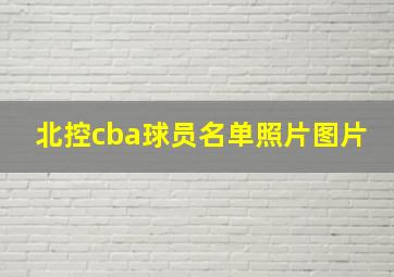 北控cba球员名单照片图片