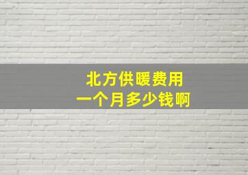 北方供暖费用一个月多少钱啊