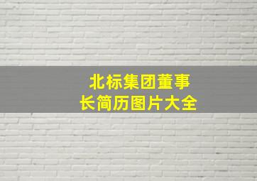 北标集团董事长简历图片大全