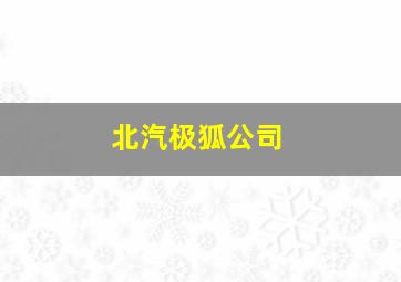 北汽极狐公司