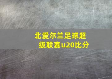 北爱尔兰足球超级联赛u20比分