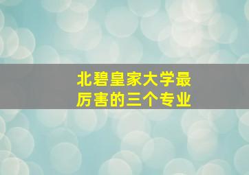 北碧皇家大学最厉害的三个专业