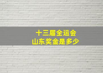 十三届全运会山东奖金是多少