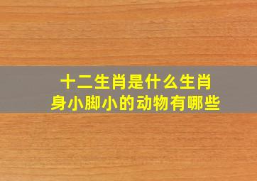 十二生肖是什么生肖身小脚小的动物有哪些