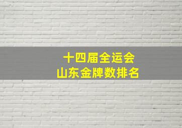 十四届全运会山东金牌数排名