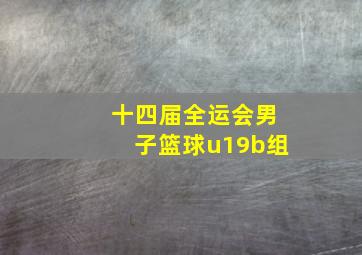 十四届全运会男子篮球u19b组