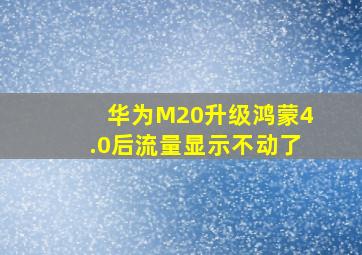 华为M20升级鸿蒙4.0后流量显示不动了