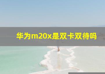 华为m20x是双卡双待吗