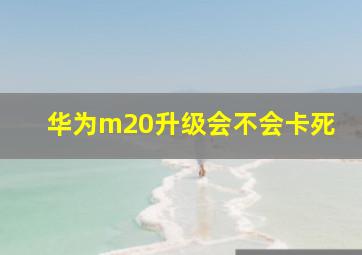 华为m20升级会不会卡死