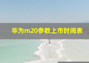 华为m20参数上市时间表