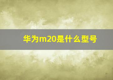 华为m20是什么型号