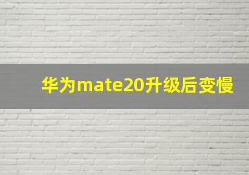 华为mate20升级后变慢