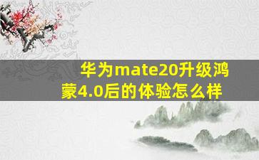 华为mate20升级鸿蒙4.0后的体验怎么样