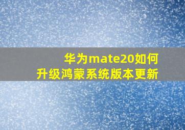 华为mate20如何升级鸿蒙系统版本更新