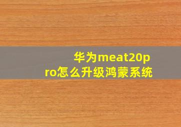 华为meat20pro怎么升级鸿蒙系统